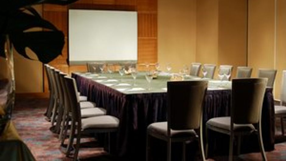 Hotel Nikko Tianjin Meeting