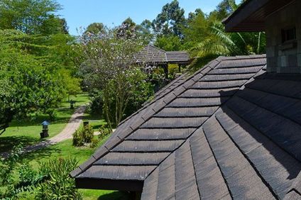 Lake Naivasha Simba Lodge