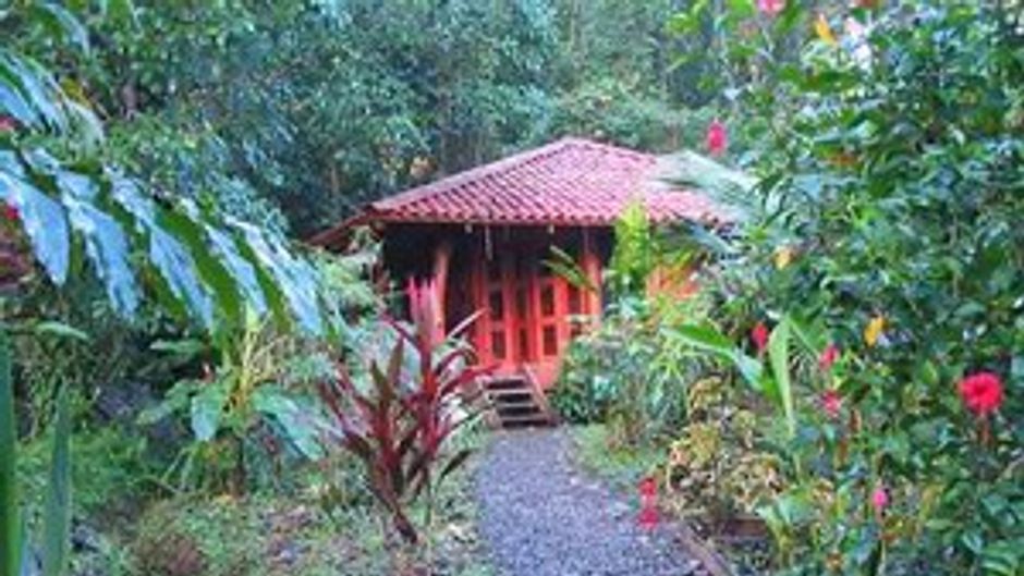 Playa Nicuesa Rainforest Lodge Exterior