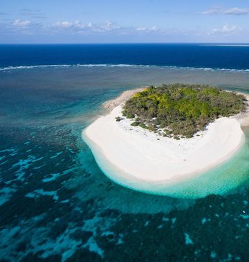 Wilson Island Resort