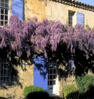 La Maison du Paradou