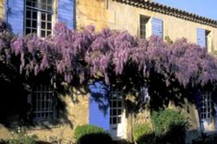 La Maison du Paradou