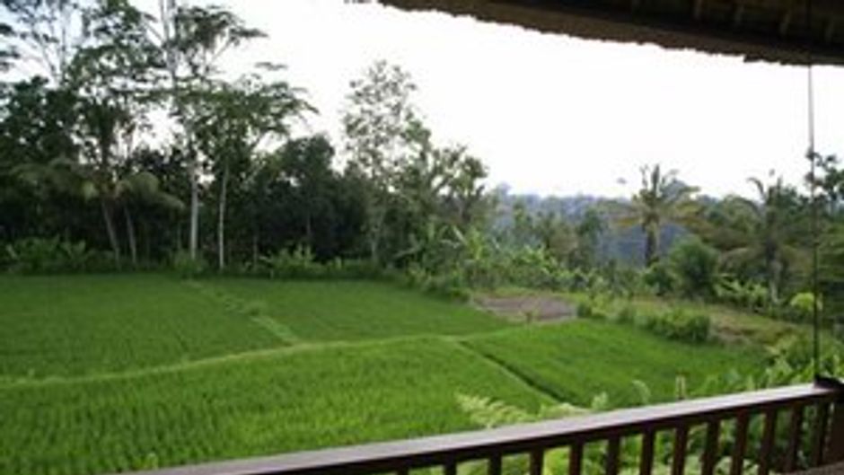 Novotel Bali Ubud Resort Lobby