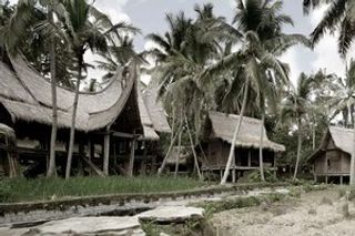 Bambu Indah