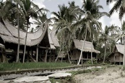 Bambu Indah