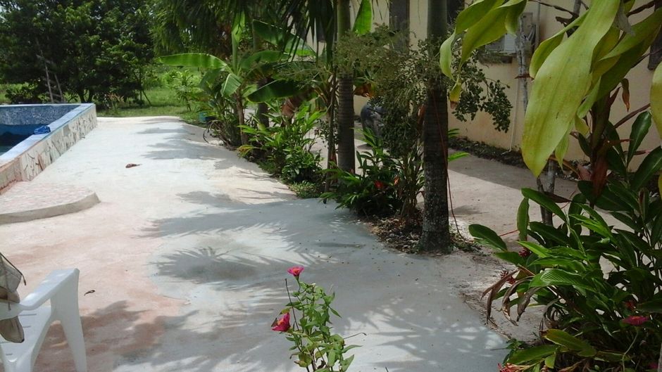 Super Palm Resort Health