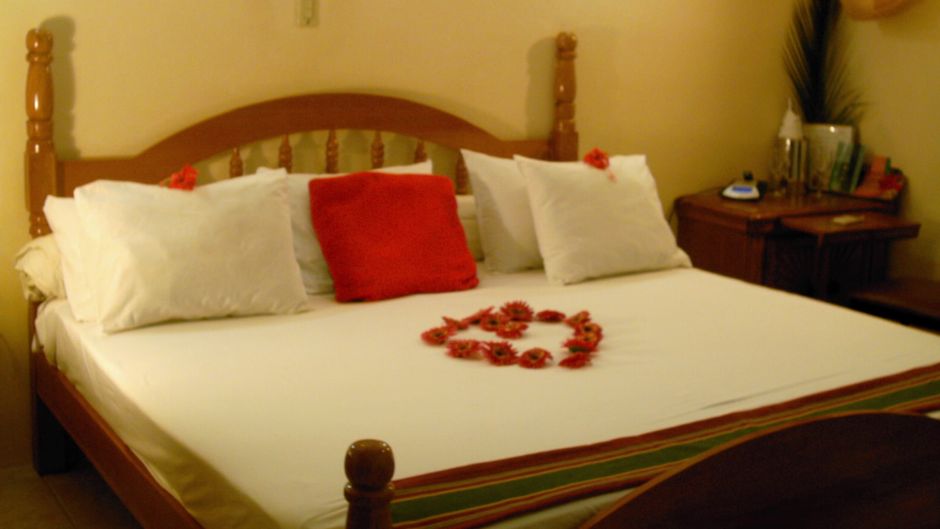 Super Palm Resort Room