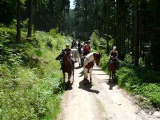 Narnhoferwirt Hotel