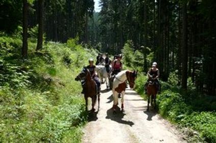 Narnhoferwirt Hotel