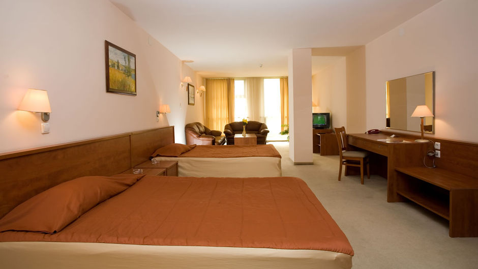 Hotel Plaza Room