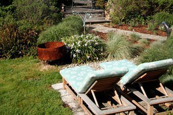 WildSpring Guest Habitat