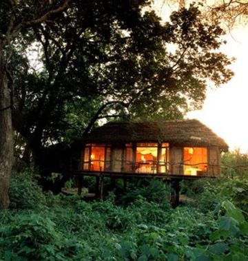 Lake Manyara Tree Lodge