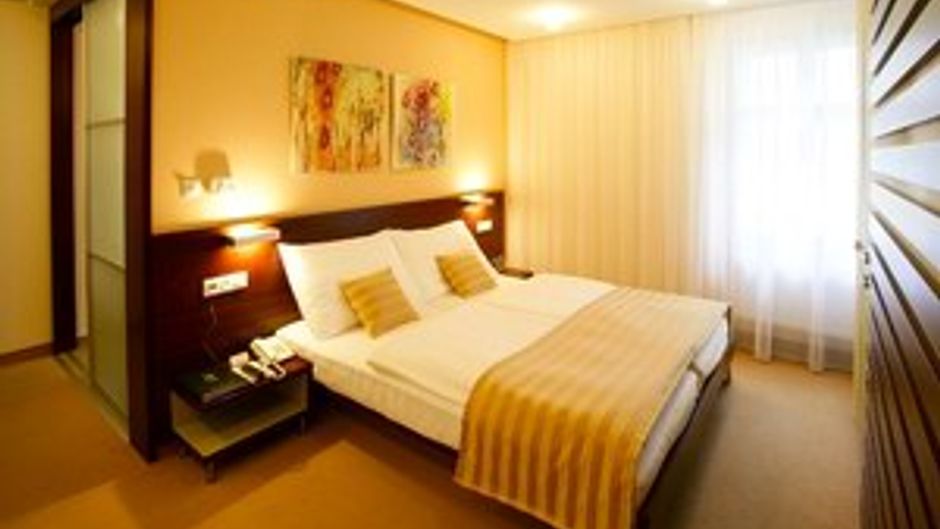 Hotel Michalska Brana Room