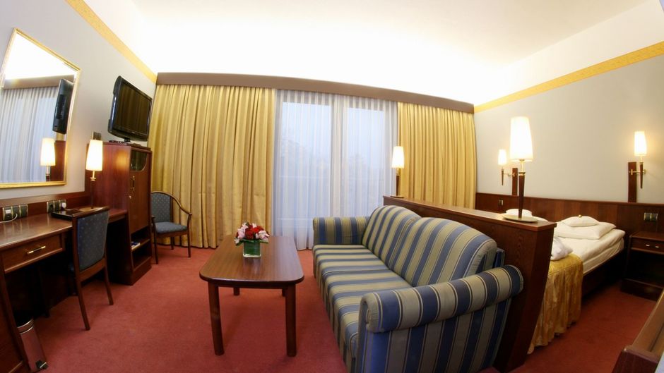 Park Hotel Diament Bielsko-Biala Room