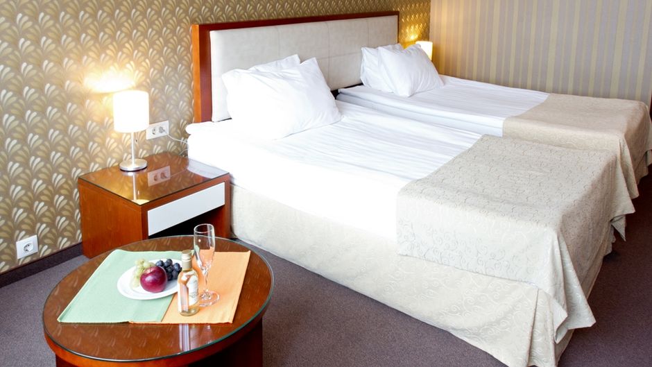 Hill Hotel Sofia Room