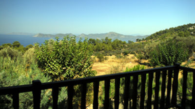 Mandarin & Mango Boutique Hotel