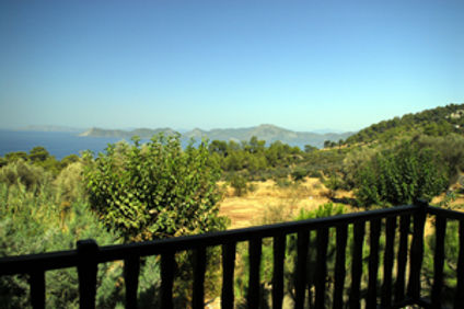 Mandarin & Mango Boutique Hotel