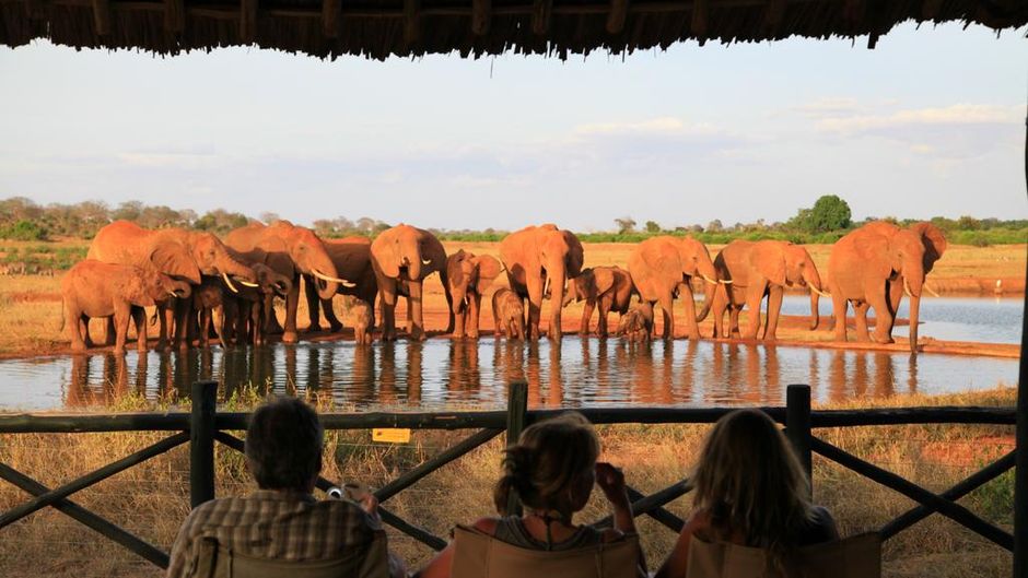Voi Safari Lodge Recreation