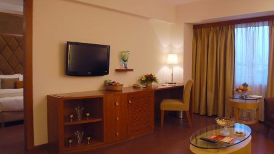 Lords Plaza Ankleswar Suite