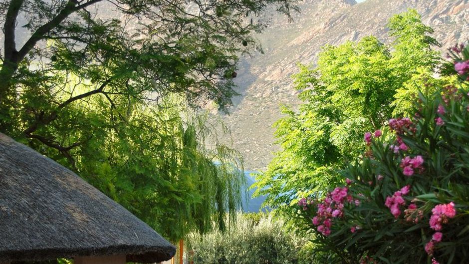Mimosa Lodge Pool