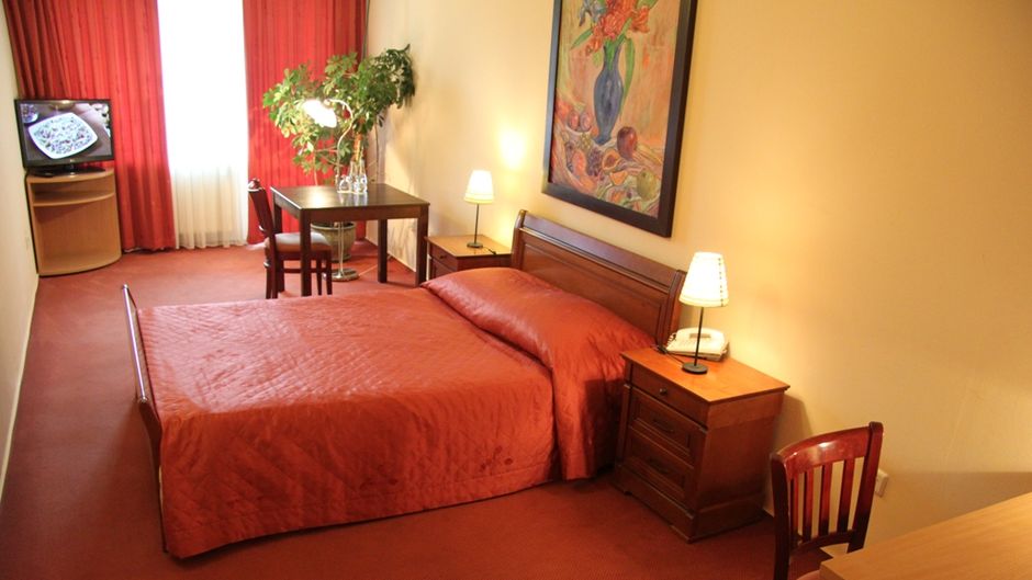 Hotel Dunajec Room