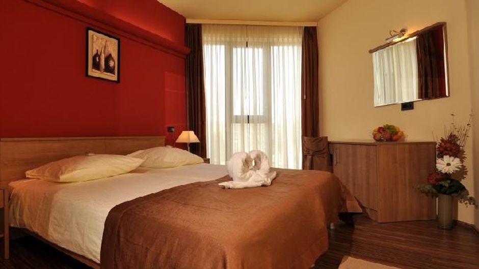 Hotel Fontana Room