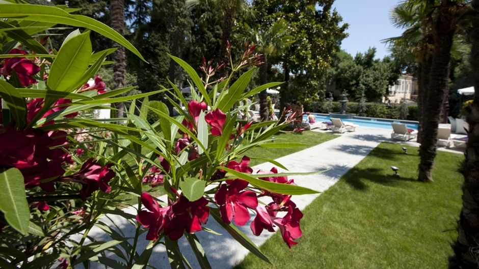 Villa Elena Hotel & Residences Pool