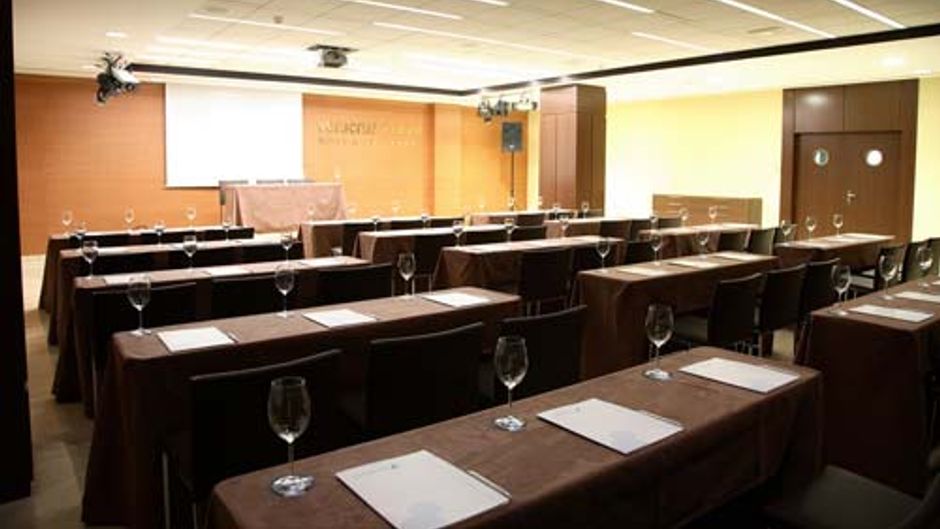 Veracruz Plaza & Spa Valdepenas Meeting