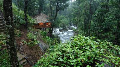 Blue Ginger Wayanad Resorts