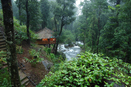 Blue Ginger Wayanad Resorts