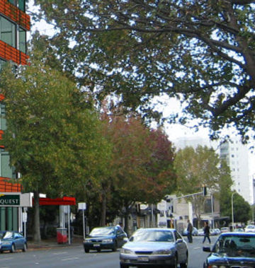 Quest on Hobson