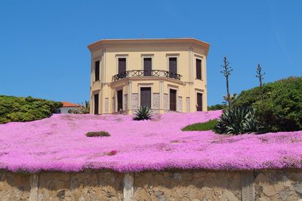 Villa Mosca Charming House