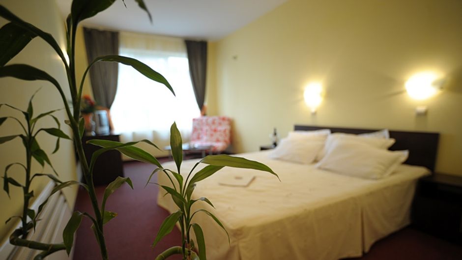 Hotel Alexander Room