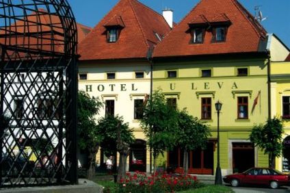 Hotel U Leva