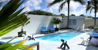 Dolphin Suites
