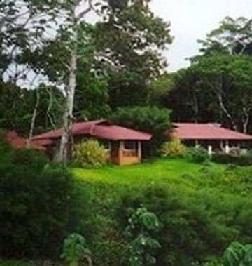 Bosque Del Cabo