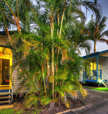 Alex Beach Cabins & Tourist Park