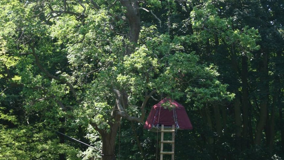 Woody Park Room