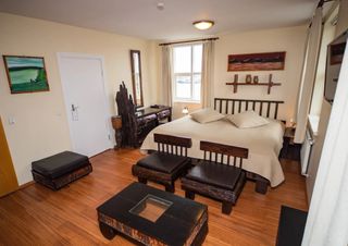 Hotel Viking