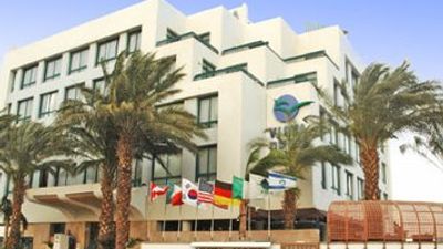 Brown Eilat