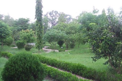 Nepal Wildlife Resort