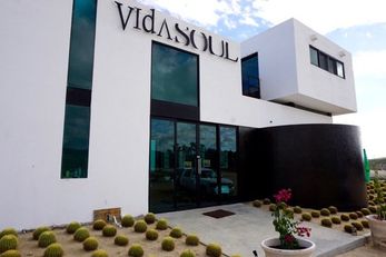 Vidasoul Hotel