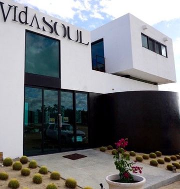Vidasoul Hotel