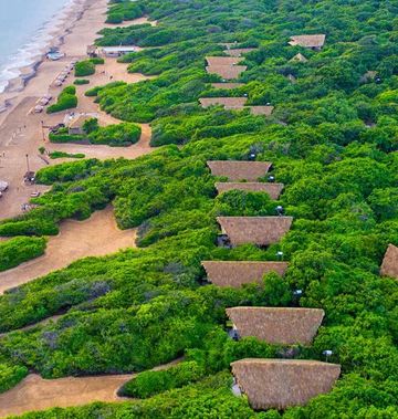 Jungle Beach by Uga Escapes