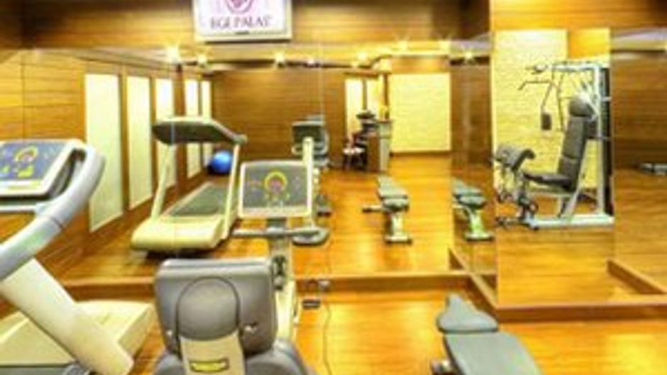 Ege Palas Business Hotel Health