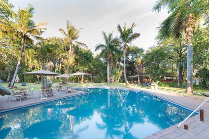 Sefapane Lodge and Safaris