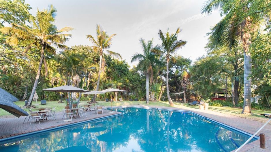 Sefapane Lodge and Safaris Pool