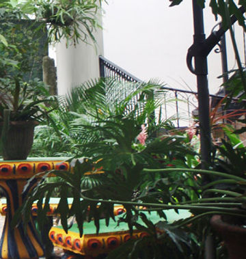 Casa Lima Bed & Breakfast