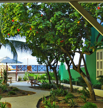 Scuba Lodge
