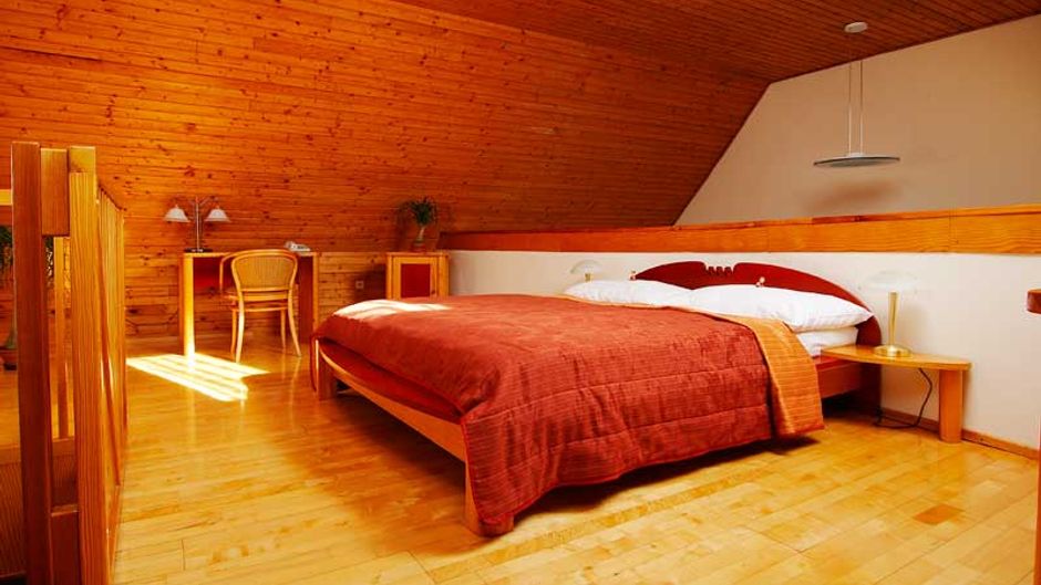 Penzion Fortuna Room